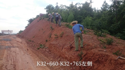 長沙東日園林工程有限公司,長沙園林綠化工程,長沙綠化養(yǎng)護管理